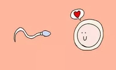 40岁后做试管婴儿成功率只有20%