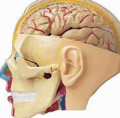 临汾哪家医院好三代试管婴儿，临汾三代试管婴儿医院排名
