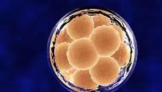 合肥三代试管医院怎么选择？哪家医院值得选？