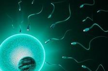 广元做试管婴儿的医院推荐，为您提供最佳选择