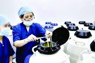 试管婴儿冻胚费用参考，各个医院收费均按照年数计算