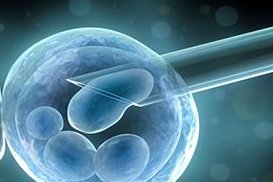 三代试管婴儿可以用来检测自闭症吗？三代试管婴儿可以用来检测自闭症吗？